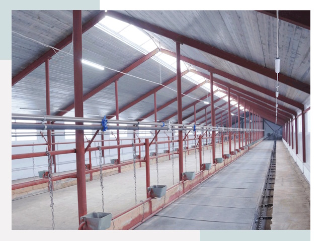 Строительство коровников в Беслане от 608 руб.