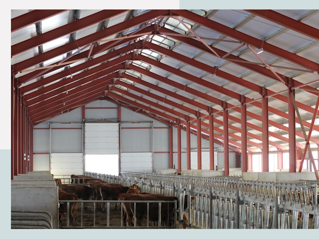 Строительство коровников в Беслане