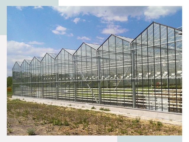 Строительство теплиц в Беслан от 608 руб. за м²