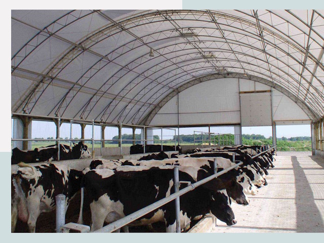 Тентовые коровники в Беслане